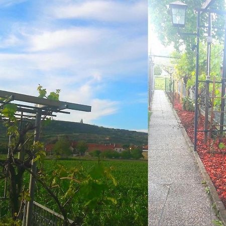 Pansion Brda Appartement Rohrendorf bei Krems Buitenkant foto