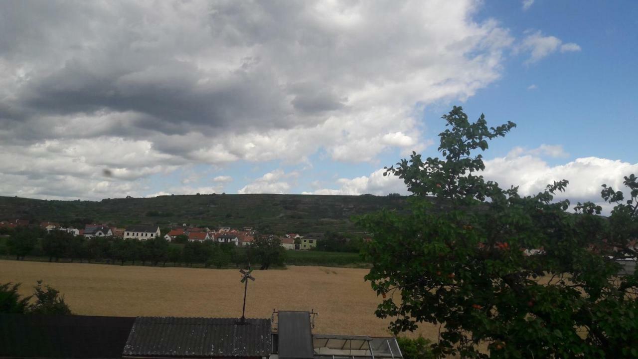 Pansion Brda Appartement Rohrendorf bei Krems Buitenkant foto